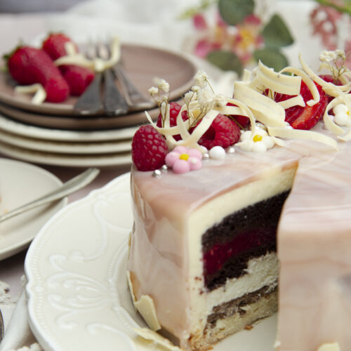 Chocolade entremet taartje